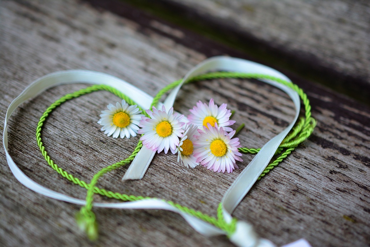 daisy, heart, romance-3392654.jpg